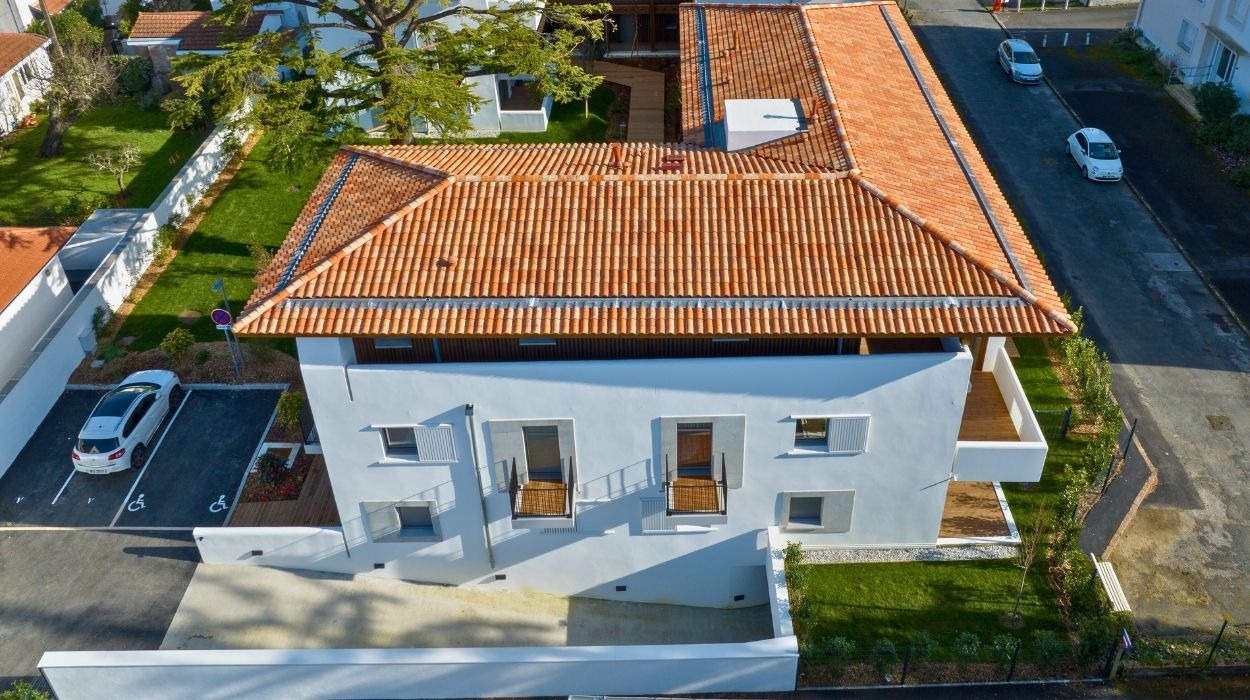 XOKO FERDEA - Image 2