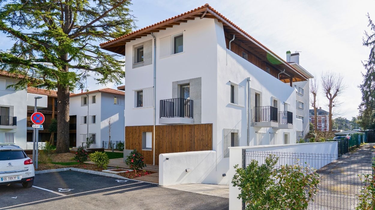 XOKO FERDEA - Image 4