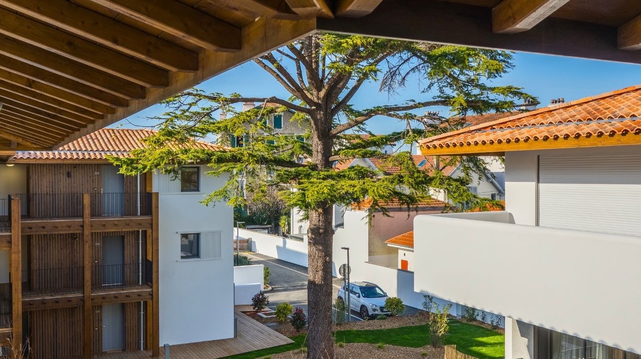 XOKO FERDEA - Image 9